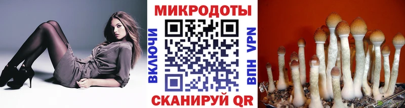 купить  сайты  Кирс  Галлюциногенные грибы мицелий 